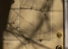 Vidaus durys – kokios medžiagos populiariausios?